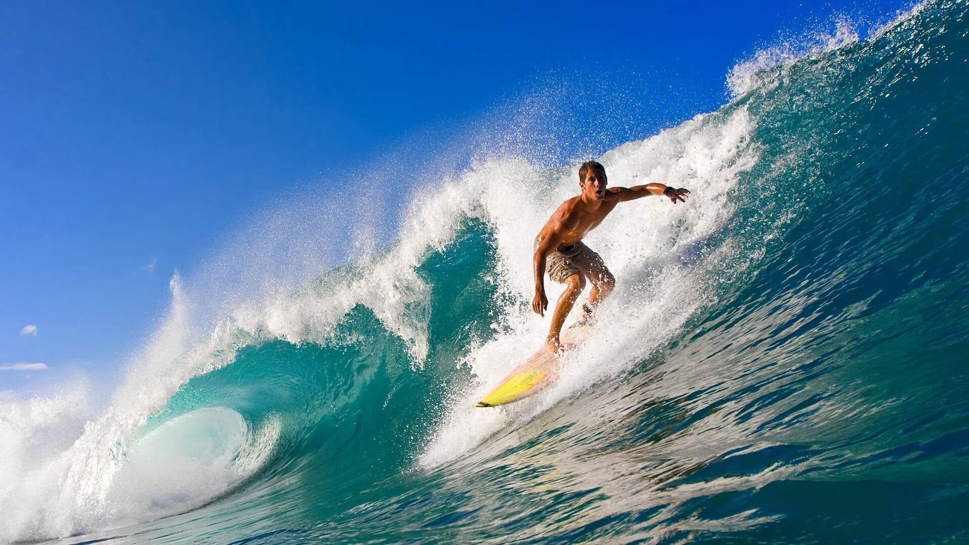 “安赫尔·巴尔博萨的精准进攻与战术执行力,助力美洲狮队在国际舞台屡创佳绩”